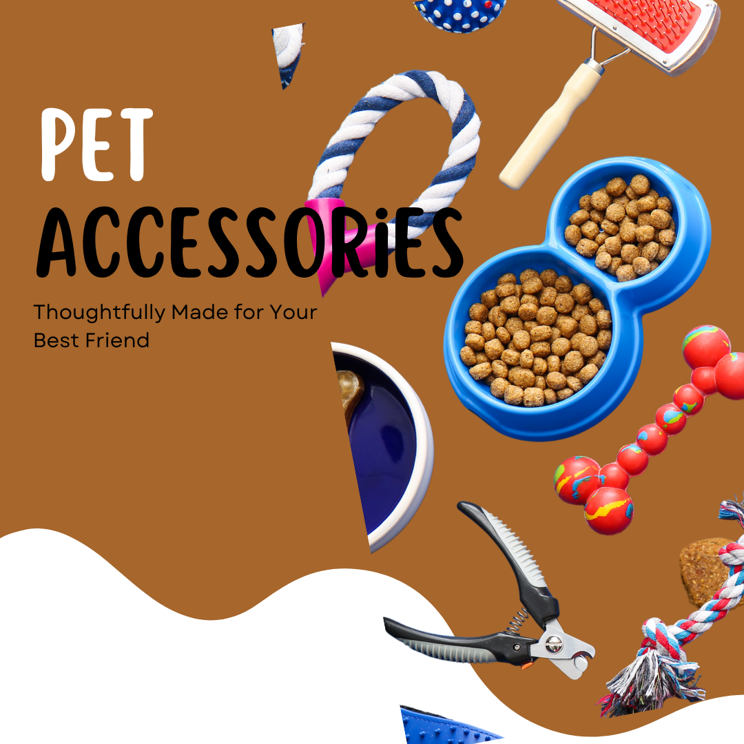 Pet Accessories