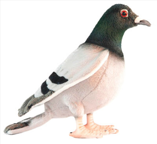 Pigeon 29cm L