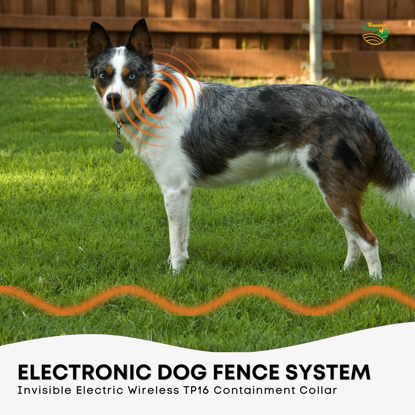 Electronic Dog Fence System -Invisible Electric Wireless TP16 Containment Collar