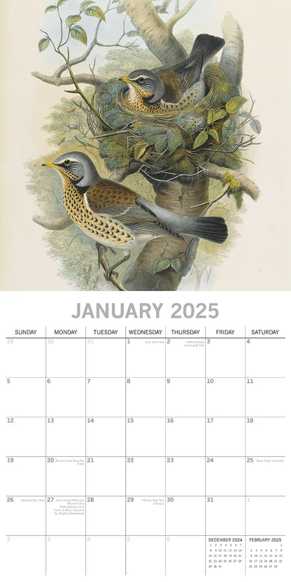 Garden Birds - 2025 Square Wall Calendar Pets Animals 16 Months Premium Planner