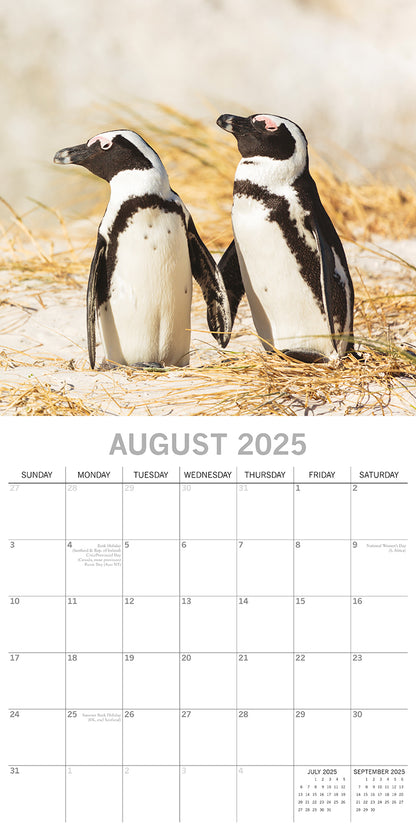 Penguins - 2025 Square Wall Calendar Pets Animals 16 Months Premium Planner Gift