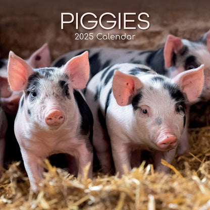 Piggies - 2025 Square Wall Calendar Pets Animals 16 Months Premium Planner Gift