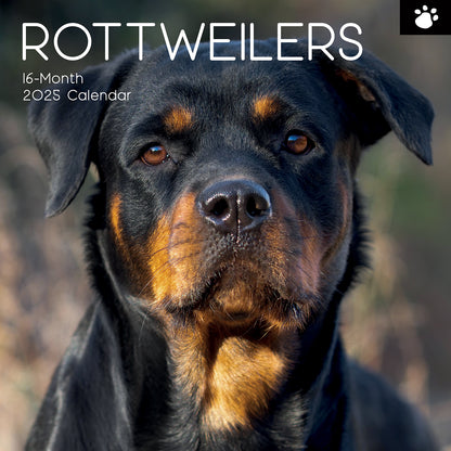 Rottweilers 2025 Square Wall Calendar Dogs Pets Animals 16-Month Premium Planner