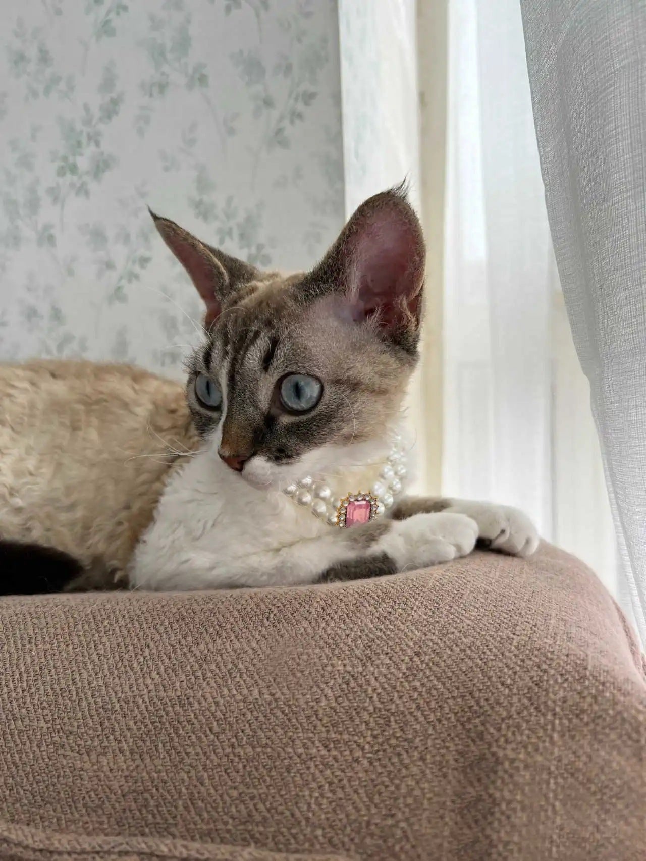 3-pcs Pink Diamond  Double Strand Pearl & Rhinestone Pet Necklace - Luxury Collar for Cats & Dogs Size M (25-31CM)