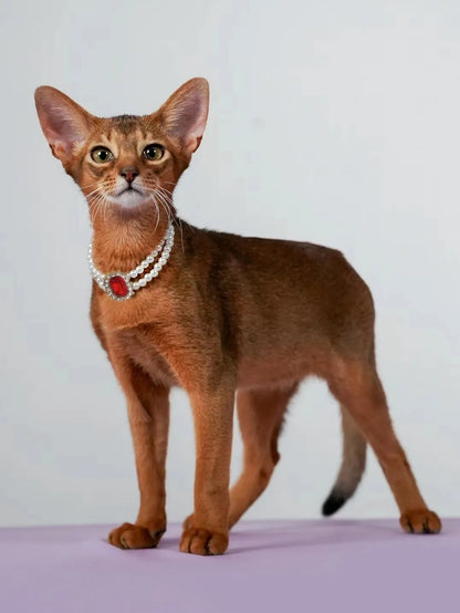 3-pcs Red Diamond  Double Strand Pearl & Rhinestone Pet Necklace - Luxury Collar for Cats & Dogs Size L (30-36cm)