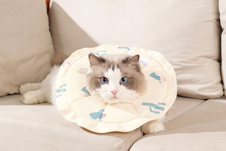 2 Pcs Size S Beige Comfortable Pet Recovery Collar | Waterproof Anti-Lick Collar for Cats & Dogs