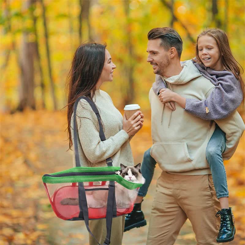 Green And Grey Lightweight Breathable Mesh Pet Carrier Handbag - Portable Travel Tote for Small Dogs & Cats up to 8kg