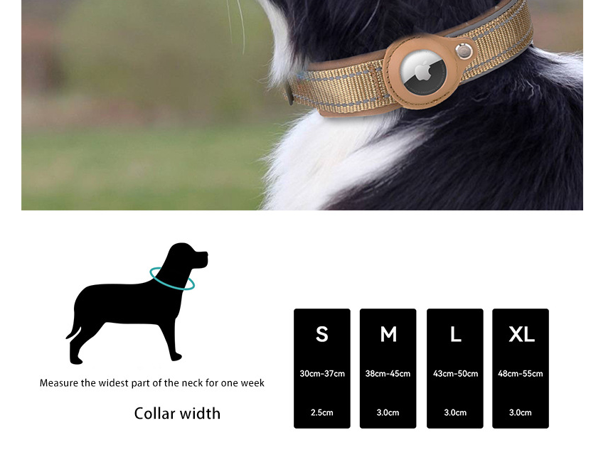 L Blue-green Secure Nylon Dog Collar with Built-in Apple AirTag (not included) Holder Case - Pet Tracker Accessory