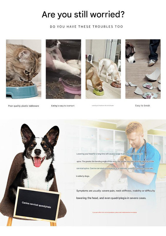 Elevated Pet Feeding Bowl with Stainless Steel Inner - Promotes Healthy Digestion & Reduces Neck Strain(Black)