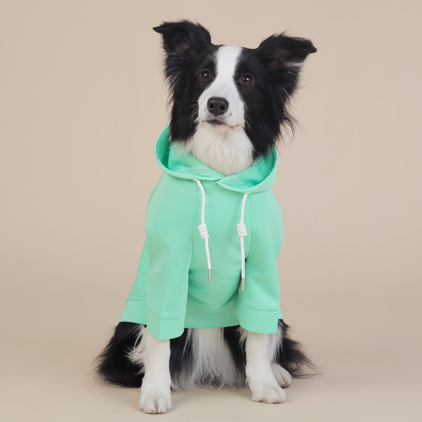 Green Classic Dog Sweatshirt with Hood & Drawstrings - For Large Dogs (Size : 2XL)