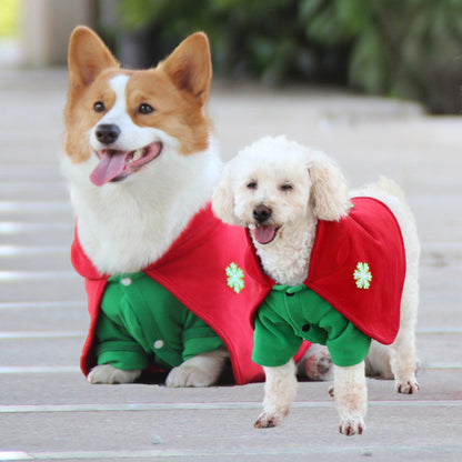 Christmas Dog Costume - Festive Hooded Cape & Green Jumpsuit Outfit (Size : M)