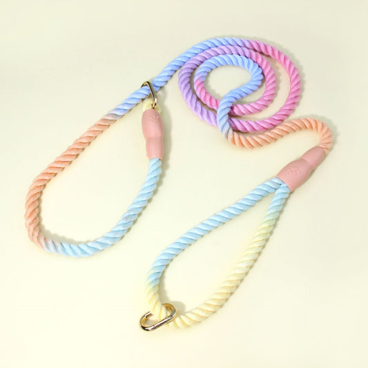 Colorful Vibrant Rainbow Ombre Rope Dog Leash - Durable Nylon P-Chain Slip Lead for Small & Medium Breeds