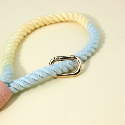 Colorful Vibrant Rainbow Ombre Rope Dog Leash - Durable Nylon P-Chain Slip Lead for Small & Medium Breeds