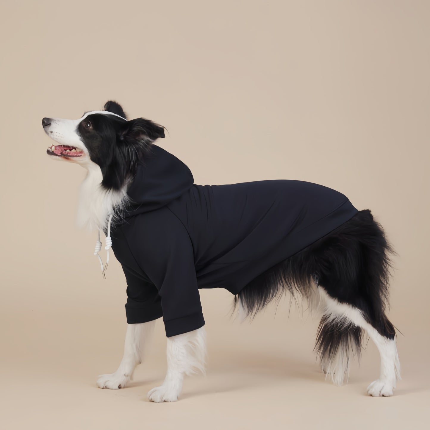 Black Classic Dog Sweatshirt with Hood & Drawstrings - For Large Dogs (Size : 8XL)